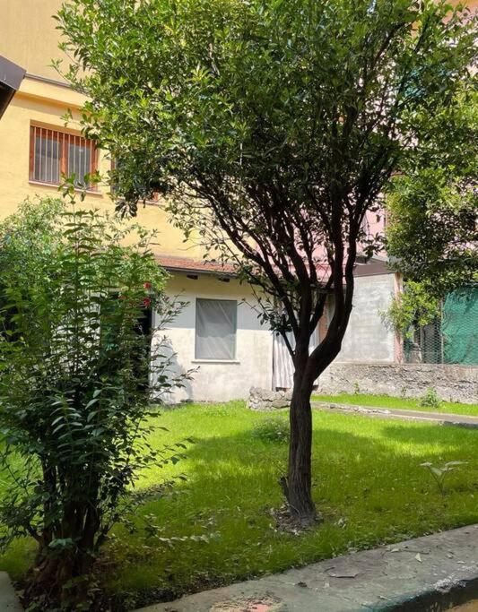 Il Giardino Nascosto Apartment Omegna Luaran gambar